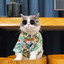 ؈乷rļ{ë·СȻ