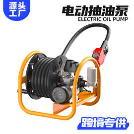大流量电动输油泵自吸抽油机12V24V220V手提卷盘电动加注抽油设备