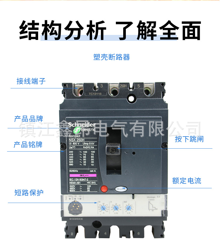 9-NSX250H-MIC2_04.jpg