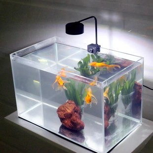 New Dimmable Led Small Clip Light for Aquatic Plants Tank, Small Downlight for Desktop Fish Tank Landscaping, Ecological Lighting, Flat Plug/Usb