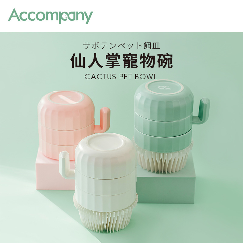 Аккупация кактус, ладонь, местная семейство кошек Экологически чистая посуда, белый порошковый порошок с высоким содержанием шейки матки