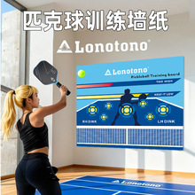 ƥ����ѵ��ǽֽpickleball������ϰѵ����רҵ��ѵ������ǽ����ֽ