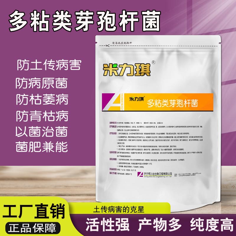 多粘类芽孢杆菌100亿原粉 防青枯病 根腐病 土传病害 微生物菌剂