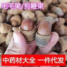 毛毛果 狗鞭果中药材泡酒料狗腰子药材批发可一件代发
