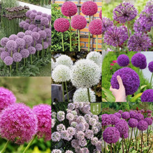 Mڴ[NԻֲͥԺԻNʹ_ͺ