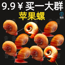 �O���ݳ����������^�p��΁ţ������ˮ�ݸ׳�̦���횈ʳ�坍�ݰ��]