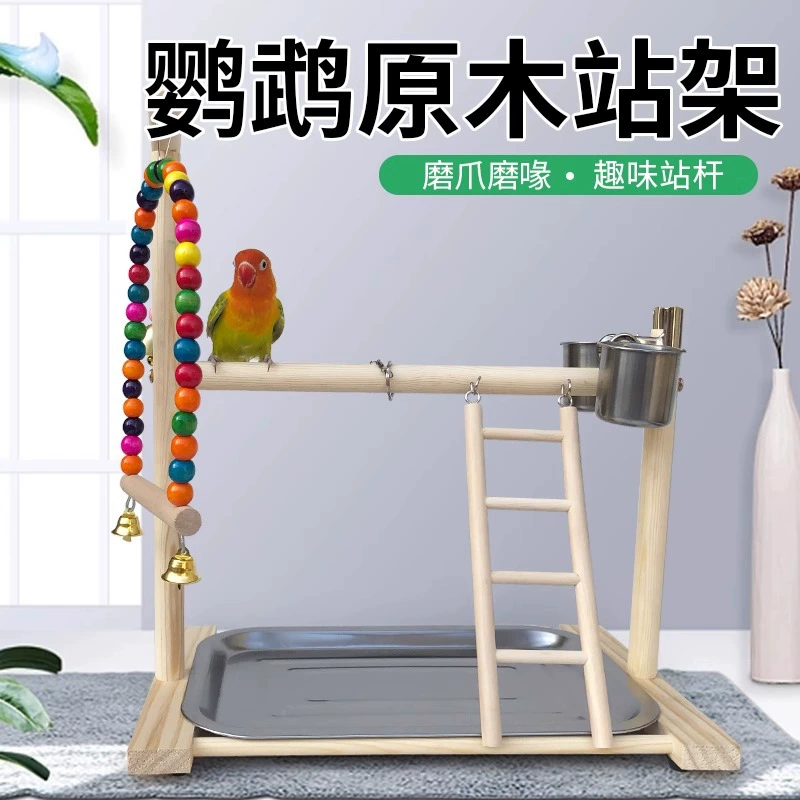 Станция попугай бревна шкура тигра Сюаньфэн пион лапы