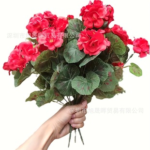 �羳���R�d������N�L���溣�Ļ��ٻ��Ҿӿ͏d���ÿ��z���Ҿ��b�