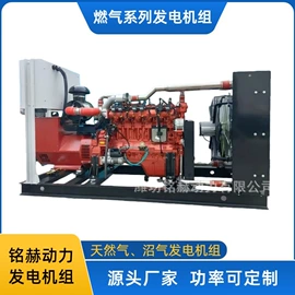 柴油发电机组;燃气发电机组;内燃机