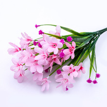 �����m���������b廨�Ҿ��b��Ĕz������Ʒ����ֲ�����l�߷���