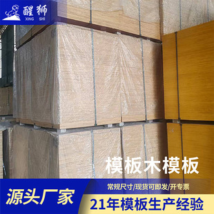 ˮ���_�z���Ӱ�ľ����_�ٿն��tģ��  ��ȩ�z�Ͻ��Bģ��ľ����