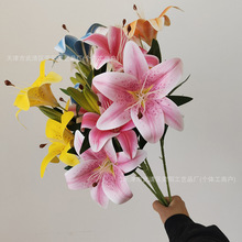 ����3D��ӡ2�^�ٺϷ��滨��c�bƵ겼���Ҿӿ͏d�bzӰ��