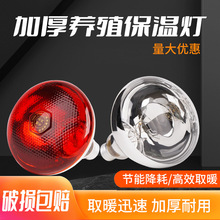 保温灯养殖仔猪保温取暖灯鸡鸭鹅节能防水小鸡保温灯兽用保暖灯泡