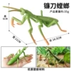 Hfm hollow sickle praying mantis