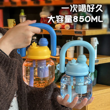 夏季网红大容量大肚杯女生塑料吸管水杯创意DIY便携背带水壶批发