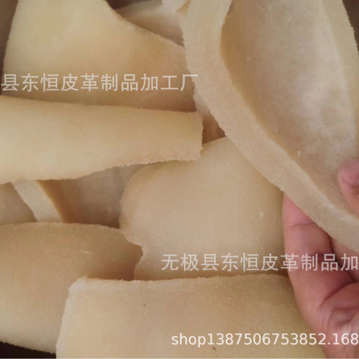 河北工厂 鲜牛皮 水晶牛筋 牛二层皮  牛皮块 二层鲜皮块