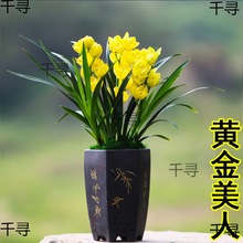 ���S���l�������F�m��������M�á�����󻨶������҃Ȼ��ܽ��m�G