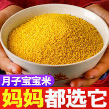 山西特产黄小米新米500克月子米宝宝米粗粮杂粮小黄米米脂小米粥