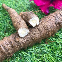 ���x�|���L��ɽ���rɳ��Ұ���h�����Lɽ�عϷǱ�ɳ��500gɽ���}��