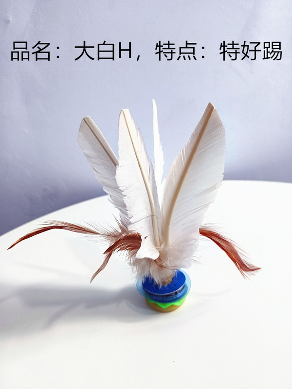 鶏の毛の羽子の羽の子供のフィットネスの試合はカラーのガチョウの毛の羽子のボールの大きい花の羽子の学生の羽子の卸売りを使います。|undefined