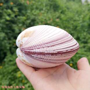 ��Ȼؐ�������p�����B����ɫ����ؐ�{�Bؐ�~��ˮ���쾰�b[����