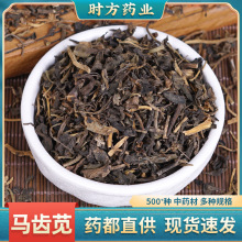 野生中草药马齿笕批发中药材无硫马齿菜泡澡马齿苋量大从优新货