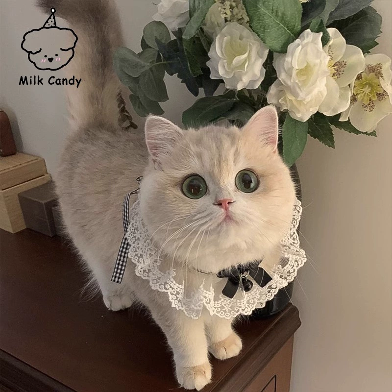Scarf, eating bib, cute bow tie with bow, gold and silver