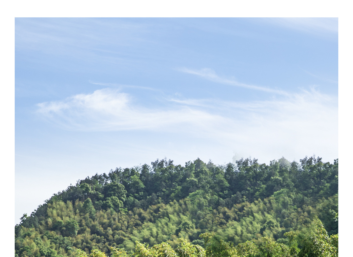Dome Canopy Tent Outdoor Sunshade New Camping Style Fully Automatic Quick-Open Sunshade Titanium Black Coating 2026 New Model