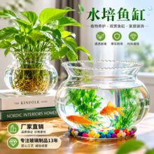 创意花边玻璃器皿小型桌面金鱼缸工位水培绿萝专用缸