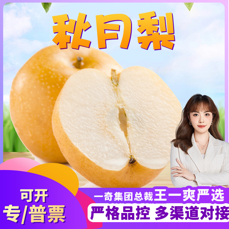 【严选】山东莱阳秋月梨 代发3斤爆甜冰糖梨新鲜多汁水果非皇冠梨