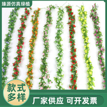 �F؛����Сõ�廨���L�l�ٻ��ٗl���{�ܾGֲ���b���������c