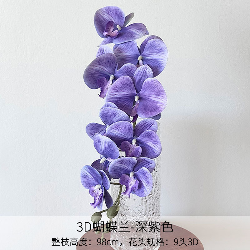 Phalaenopsis 3D de color púrpura oscuro