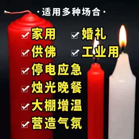 冥币/纸钱;殡葬用品;纸扎祭祀用品