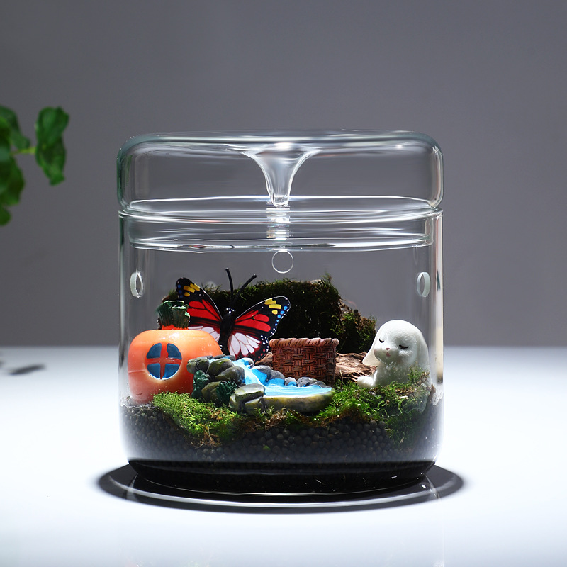 Fabricantes coleccionan vidrio de escritorio hecho a mano micro paisaje taza de exposición botella ornamental botella de luz transparente acuario ecológico