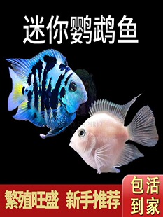 �����W�^�~���w��ˮ�Ꭷ�^�p�~�~�������������{�׽�ֳ�N�~���B