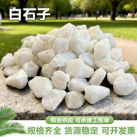 白石子鹅卵石碎石园林铺路庭院装饰白色石子花园造景白色砾石颗粒