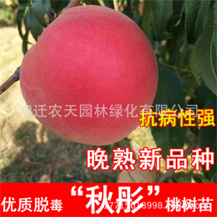 �޽�����9̖�Ҙ����x�˴�����������������ϱ����N����Y������