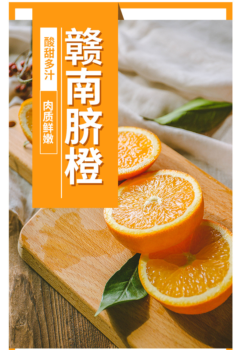 赣南脐橙_01