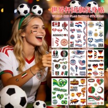 2026����ī���籭�ܱ���������������ư�ktv���������Ӳʻ�����