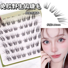 ��6�����z��Ұ����ϵ��y��Ȼ�������L��������ֶμٽ�ë