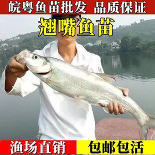 �N���~���׼��N�쵭ˮ�Bֳ�����N��ϡ���~�N�N��׵����~�����l