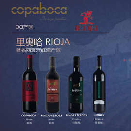 西班牙里奥哈气泡酒起泡葡萄酒原瓶进口珍藏原装红酒批发干白甜白