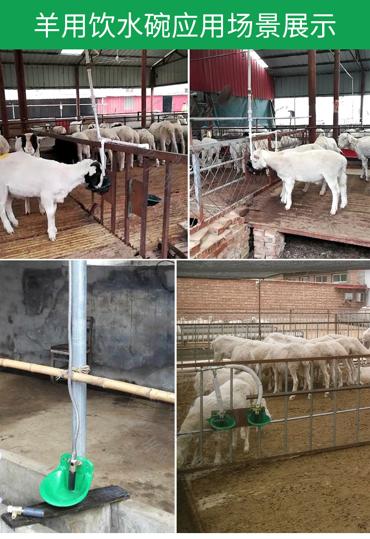 羊用饮水碗大全-详情_12.jpg