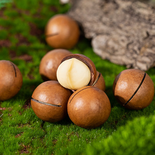 2024 New Arrival Macadamia Nut Creamy Nut Whole Box 10 Packs Summer Fruit Wholesale Bulk Weighed Roasted Seeds Snacks