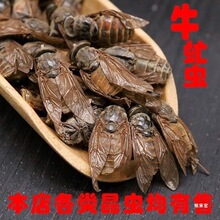 ţ��x ţ��x ţ��x ��� ����x ��ţ���]��؛��؛