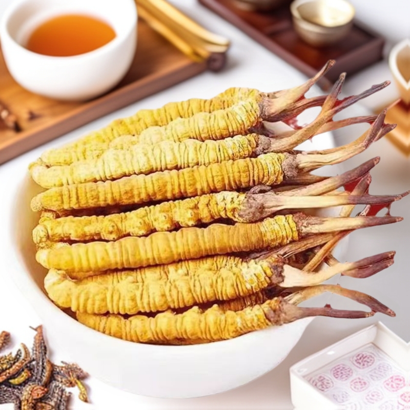 西藏那曲冬虫夏草 正宗冬虫夏草高精品干货头期虫草正品泡酒送礼