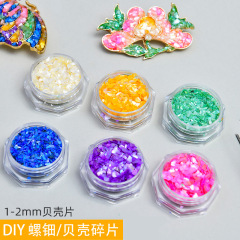 螺天然貝殻破片ブローチアクセサリーDIY材料包包網紅ネイルアート塗り絵螺胎底
