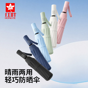 �t�~�����ȫ�Ԅ���������̫ꖂ�С�ɱ�y���������⾀�W��