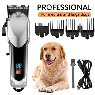 ���l������Ƽ�������ë���������ë��؈�����l������