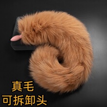 ��ëβ�ʹ������ɽM�Ϻ�ͥ��߳���������Α����SM